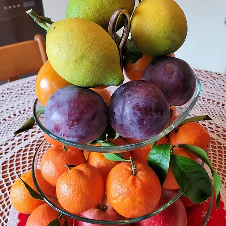 Il Limoneto Di Giovi Bed and breakfast