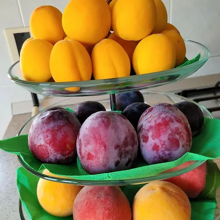 Il Limoneto Di Giovi 4* Salerno