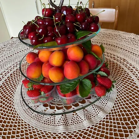 Il Limoneto Di Giovi